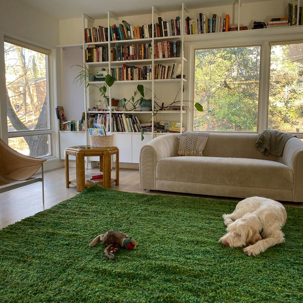 Beni Ourain Rugs for Every Room: Bedroom, Living Room & More