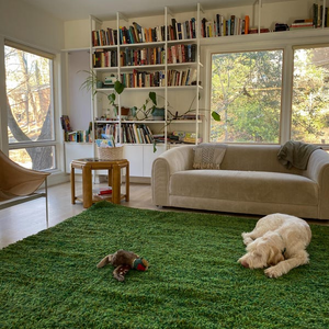 Beni Ourain Rugs for Every Room: Bedroom, Living Room & More