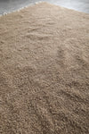 Simple Moroccan rug  10.4 FT X 11.5 FT