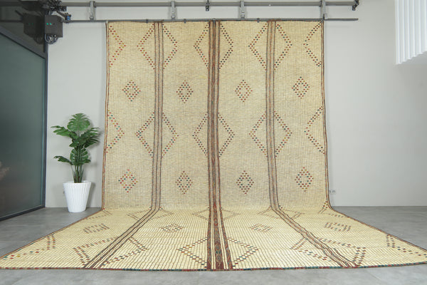 Large Vintage Tuareg Mat 11.4 ft x 16.9 ft