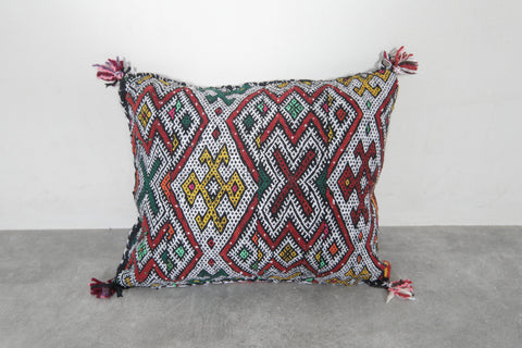 Handwoven Moroccan Kilim Pillow 17.3 inches x 20.4 inches