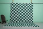 Classic Moroccan Berber Checkered Rug - Green & White 8.2 x 10.3 ft