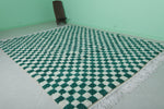 Classic Moroccan Berber Checkered Rug - Green & White 8.2 x 10.3 ft