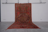 Boujaad Moroccan rug 5.6 X 11.2 Feet