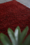 Plush Boujaad Moroccan Rug - Rich Red Shag 6.7 x 9.7 Feet