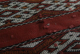 Handwoven Moroccan Kilim Rug - 3.3 X 6 Feet | Authentic Artisan Craftsmanship