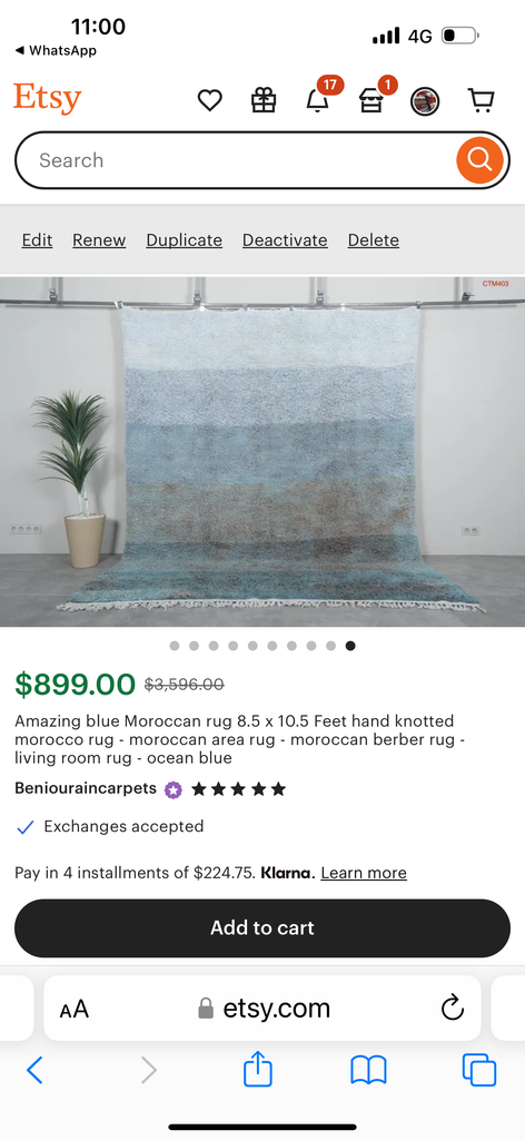 Moroccan two rugs