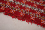 Moroccan Hallway rug 2.9 FT X 10.4 FT