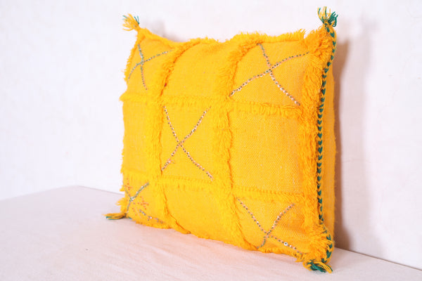 Moroccan handmade kilim pillow 15.7 INCHES X 20 INCHES