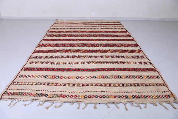 Vintage handmade moroccan berber hassira 7.1 FT X 10.9 FT