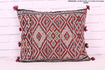 Moroccan Pillow , 14.7 inches X 21.2 inches